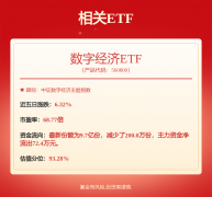 合根基面各维度看