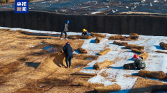 存冰正在启用时连结最佳形态